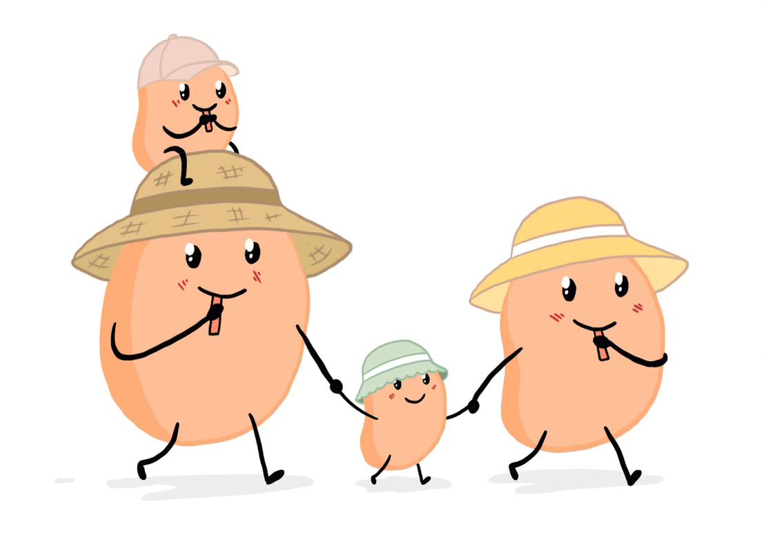 Ebook famille Maison Ohana